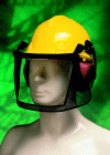 020.gif (565973 bytes)