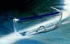 SS020_.gif (772057 bytes)