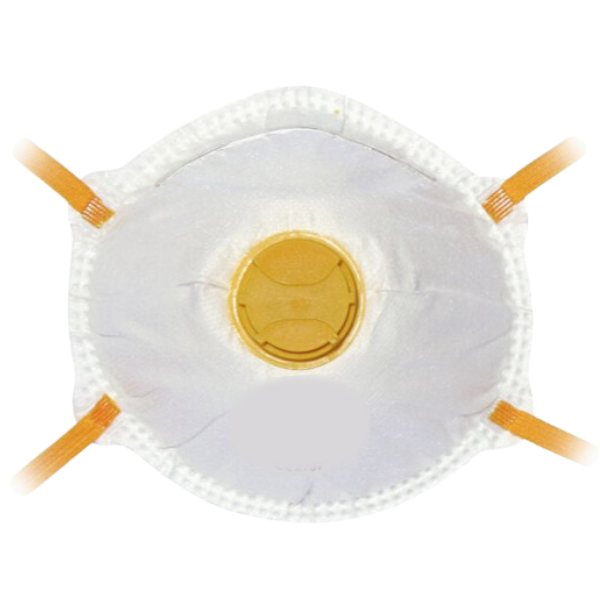 Disposable Mask P2 Blister Retail package (Pack of 2)